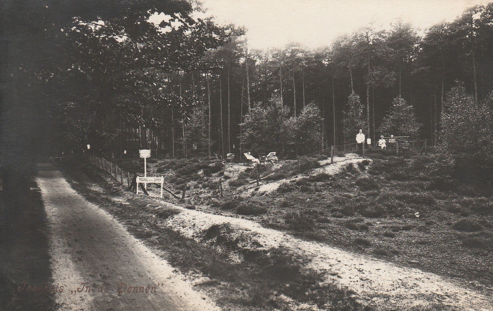 theehuis in de Dennen